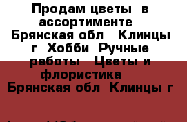 Продам цветы  в ассортименте - Брянская обл., Клинцы г. Хобби. Ручные работы » Цветы и флористика   . Брянская обл.,Клинцы г.